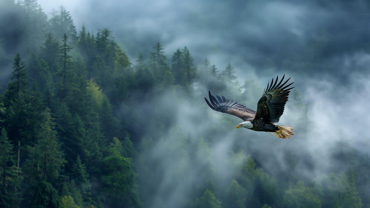 Nature Reimagined